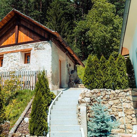 Apartments, Guest House & Historic Chalet Neuhaus San Sigismondo Екстериор снимка